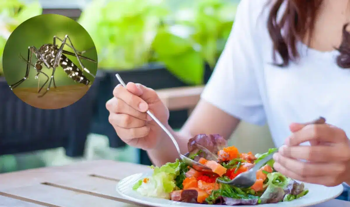 Que comer cuando uno tiene dengue