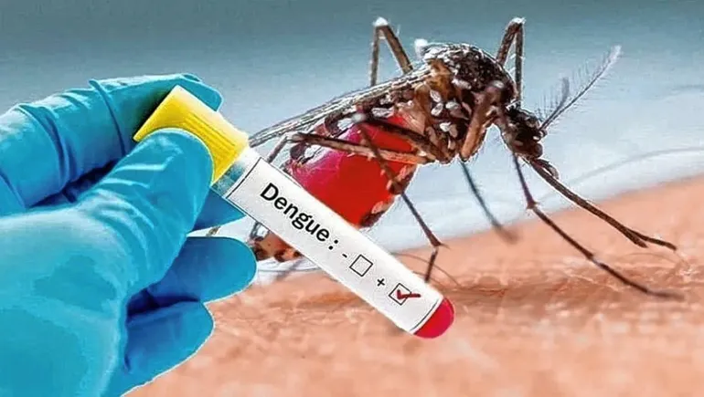 Bajan los casos de dengue